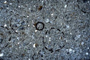 Cross Polarized, S68124