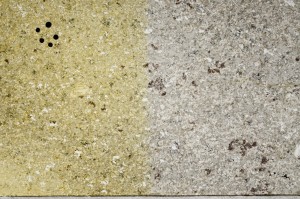 Plane Polarized, S68129/A