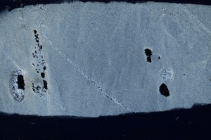 Cross Polarized, S68238