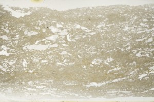 Plane Polarized, S68270