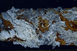 Cross Polarized, S68272