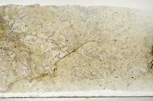 Plane Polarized, S68273