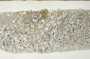Plane Polarized, S68279