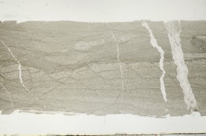 Plane Polarized, S68284