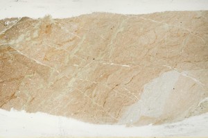 Plane Polarized, S68290
