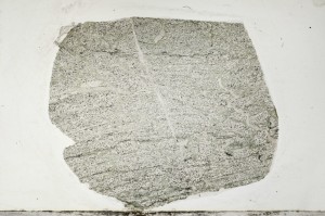 Plane Polarized, S68291