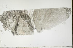Plane Polarized, S68296