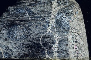 Cross Polarized, S68297