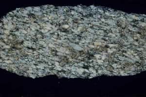 Cross Polarized, S68298