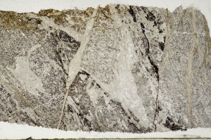 Plane Polarized, S68302