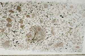 Plane Polarized, S68367