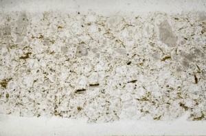 Plane Polarized, S68368