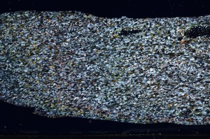 Cross Polarized, S68369