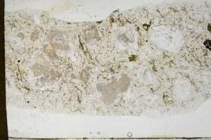 Plane Polarized, S68371