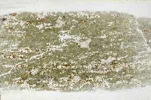 Plane Polarized, S68372