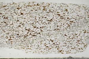 Plane Polarized, S68373