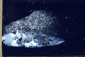 Cross Polarized, S68375