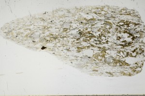 Plane Polarized, S68376