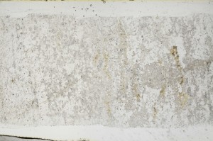 Plane Polarized, S68380