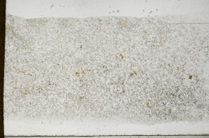 Plane Polarized, S68381