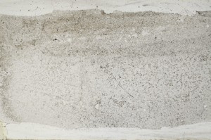Plane Polarized, S68384