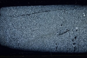 Cross Polarized, S68386