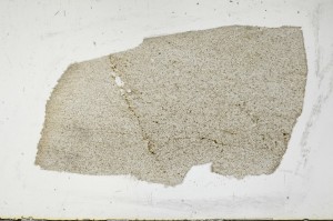 Plane Polarized, S68387