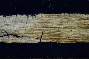 Cross Polarized, S68388