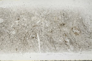Plane Polarized, S68391