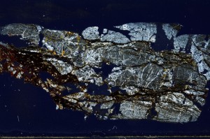 Cross Polarized, S68394