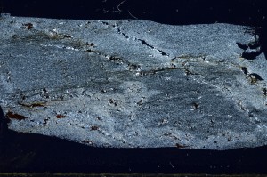 Cross Polarized, S68396
