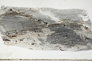 Plane Polarized, S68396
