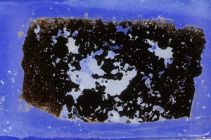 Cross Polarized, S68401
