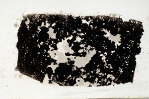 Plane Polarized, S68401
