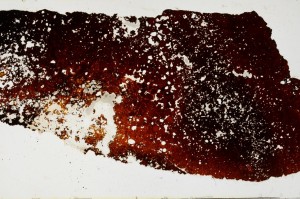 Plane Polarized, S68402