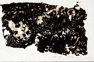 Plane Polarized, S68405
