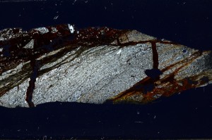 Cross Polarized, S68411