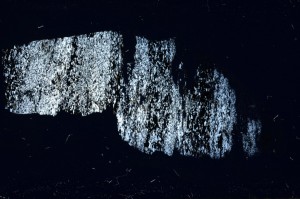 Cross Polarized, S68437