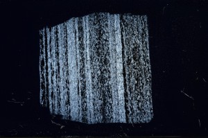 Cross Polarized, S68438