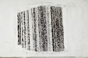 Plane Polarized, S68438