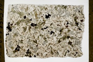 Plane Polarized, S68446