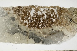 Plane Polarized, S68456