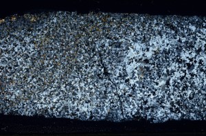 Cross Polarized, S68531