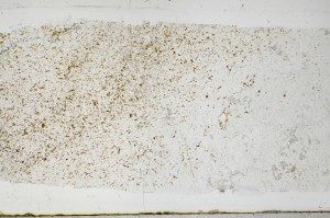 Plane Polarized, S68531