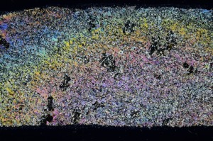 Cross Polarized, S68532