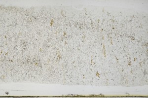 Plane Polarized, S68535