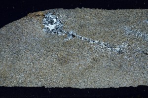 Cross Polarized, S68539