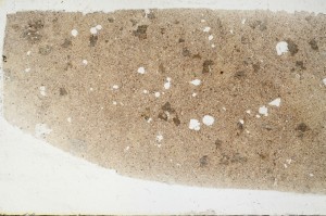 Plane Polarized, S68544