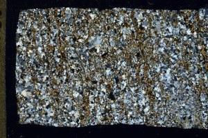 Cross Polarized, S68545