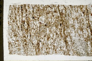 Plane Polarized, S68545